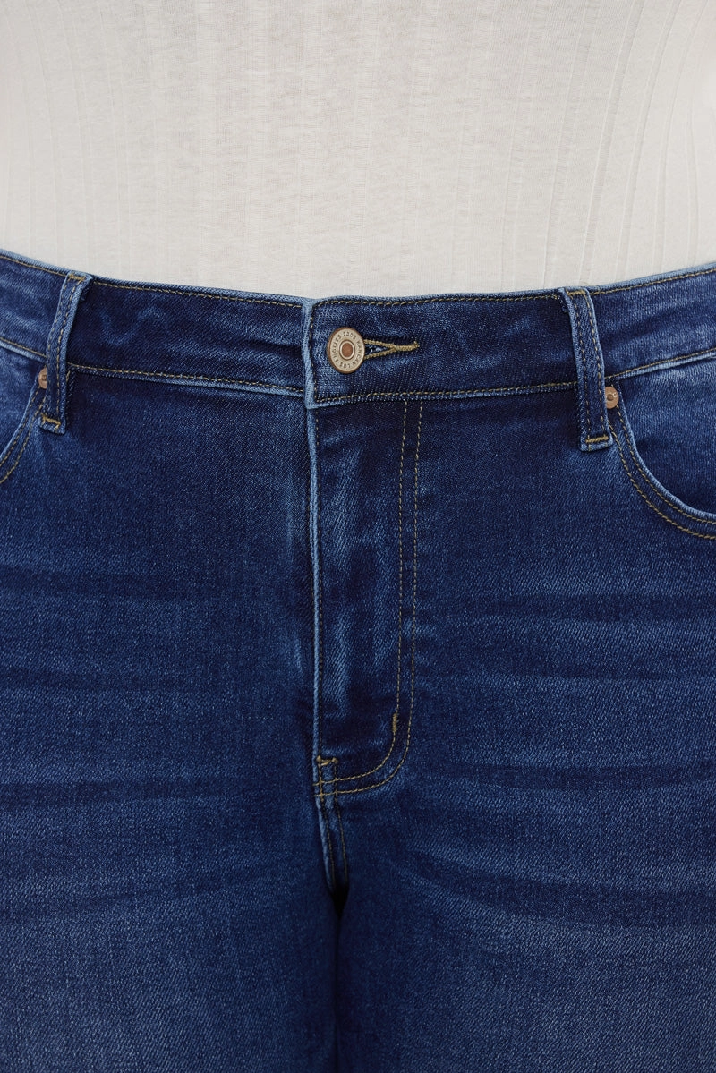 Alannah Essentials High Rise Slim Straight Leg Jeans (Plus Size)