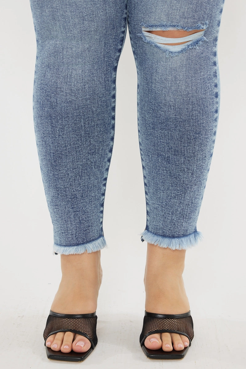 Bellita High Rise Ankle Skinny Jeans (Plus Size)