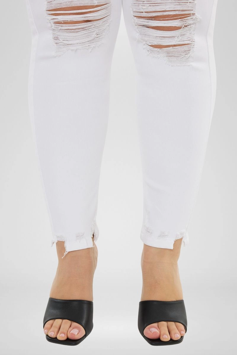 Kristy High Rise Slim Straight Jeans (Plus Size)