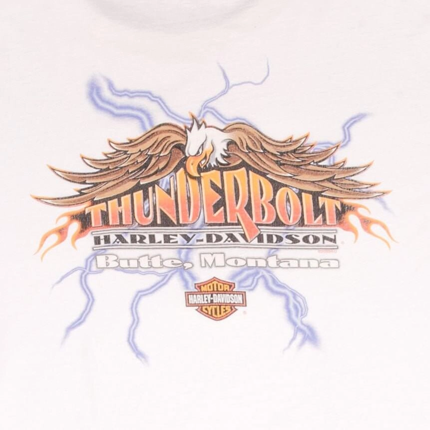 VINTAGE HARLEY DAVIDSON RACING LONG SLEEVES TEE SHIRT 2002 SIZE 2XL MADE IN USA